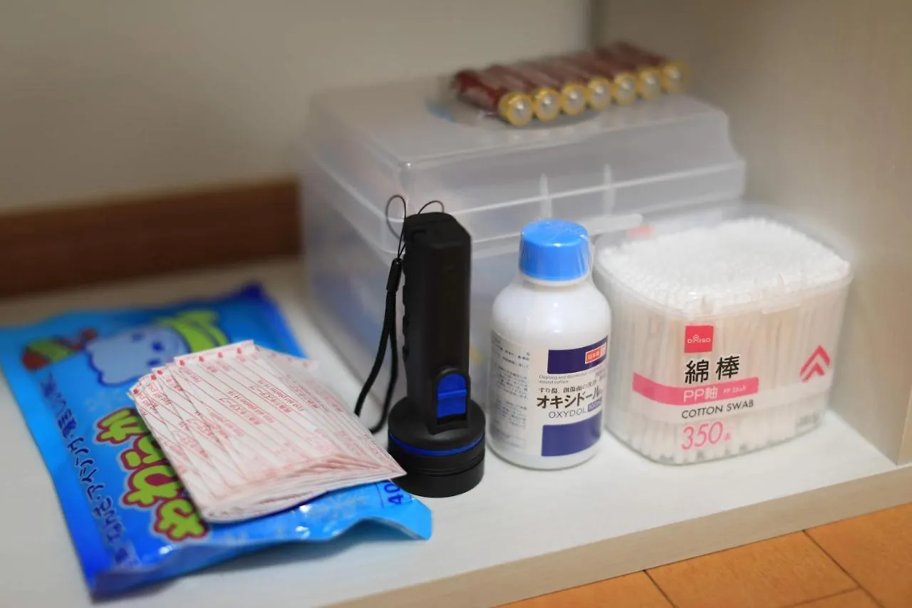 Apartment Skyhouse-新店开业半价优惠！晴空塔商圈徒步10分/巴士站20秒/全新民宿/成田羽田迪士尼直达 Tokyo